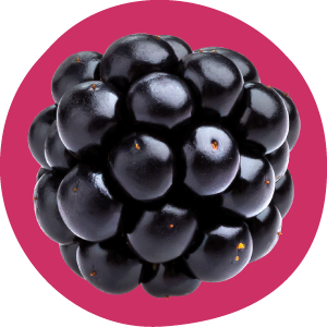 Close-up of a blackberry with a pink circular background