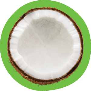 Coconut split open with green circle background