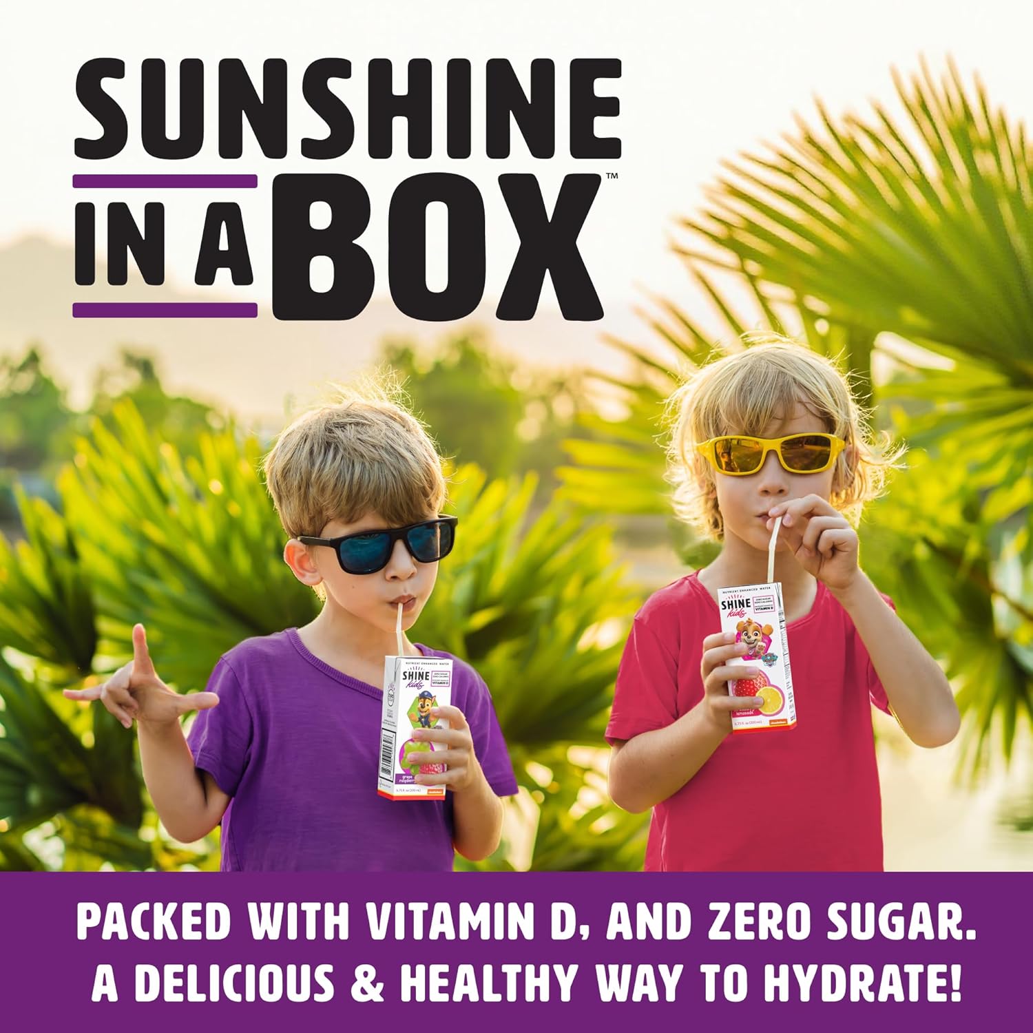 Grape Raspberry Drink Box - Pack of 32