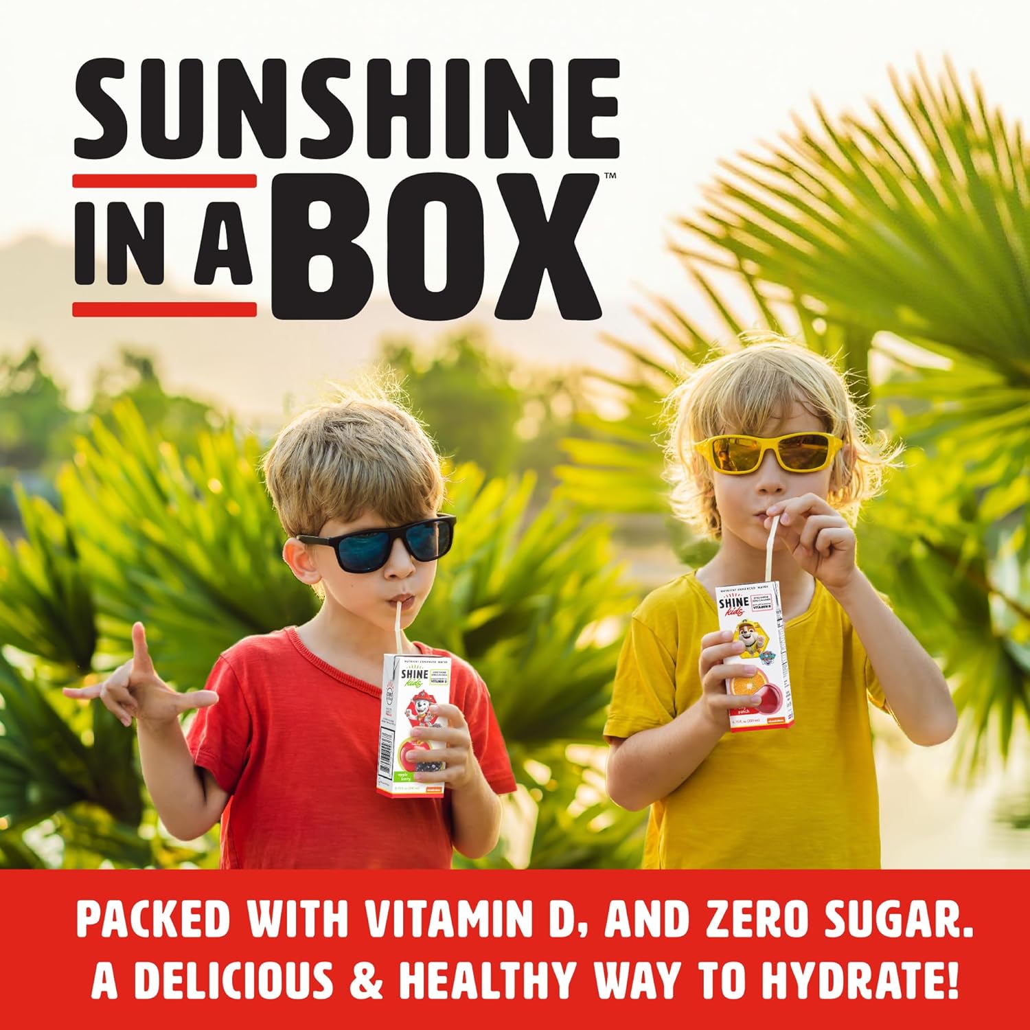 Fruity Punch Drink Box - Pack of 32