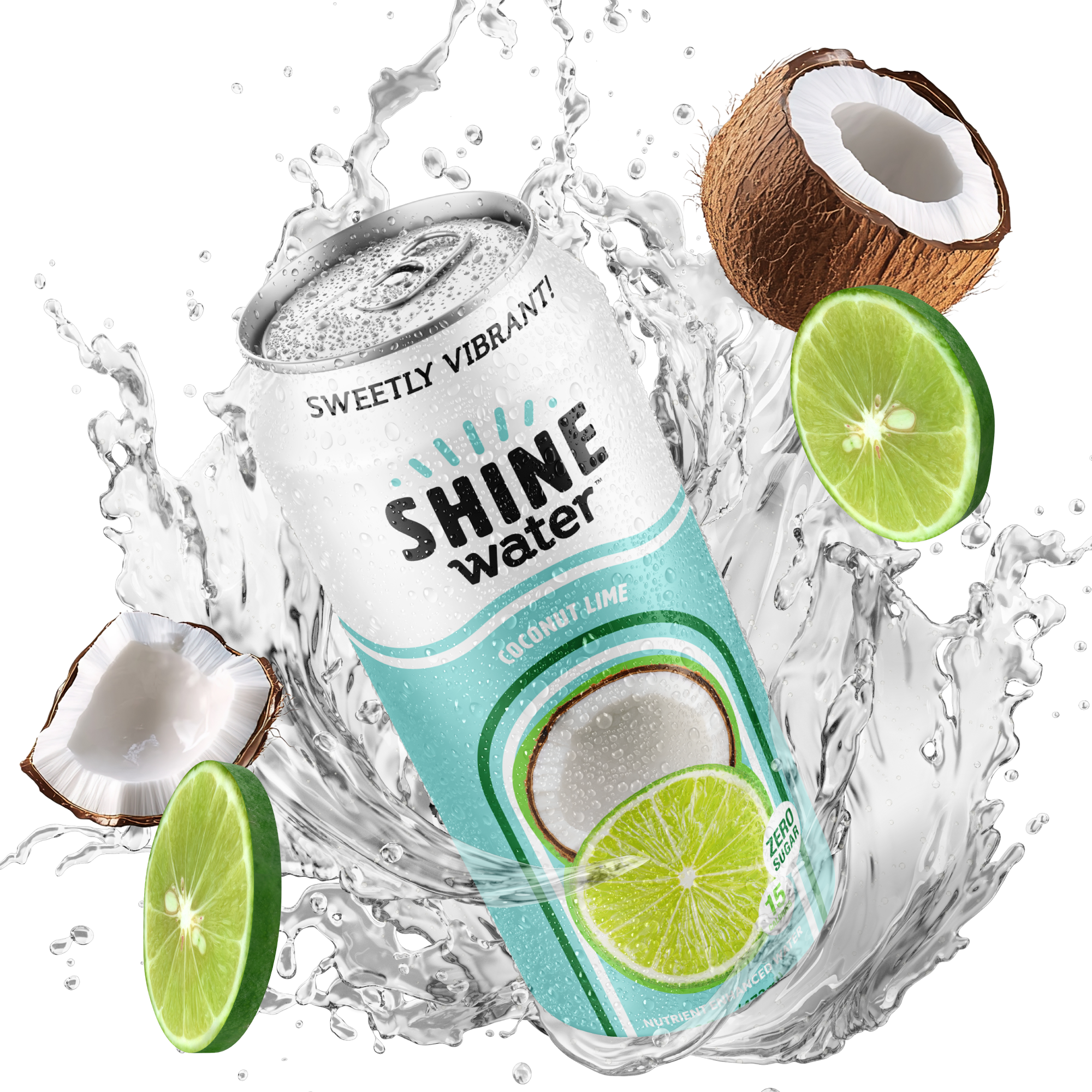 Coconut Lime Flavored Vitamin Enhanced Water - 12 Pack