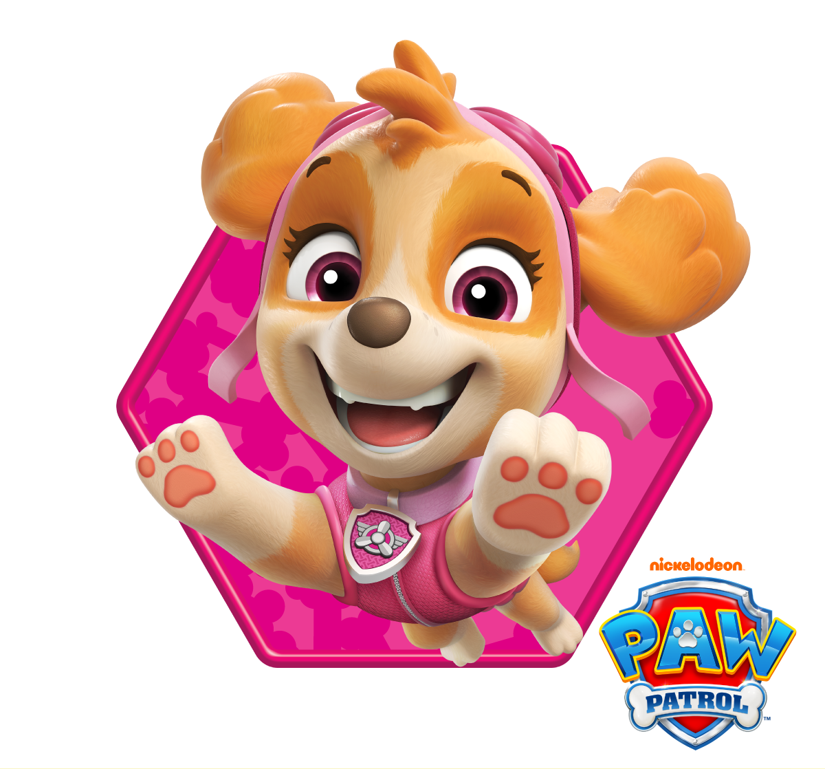 Cartoon dog character from PAW Patrol on a pink hexagonal background with the PAW Patrol logo.