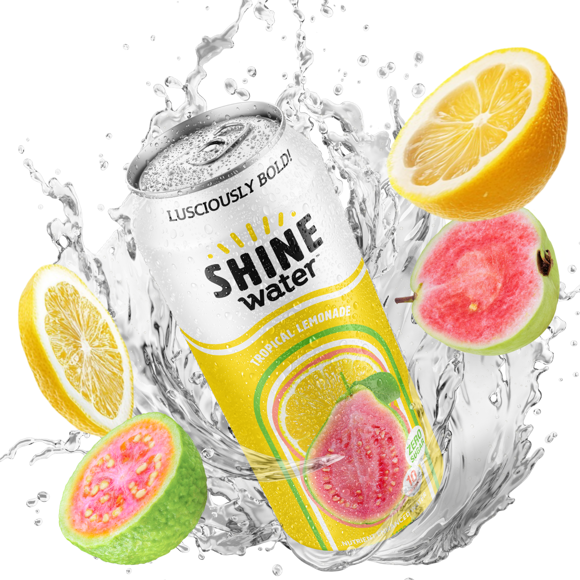 ShineWater Flavored Vitamin Enhanced Water - 12 Pack