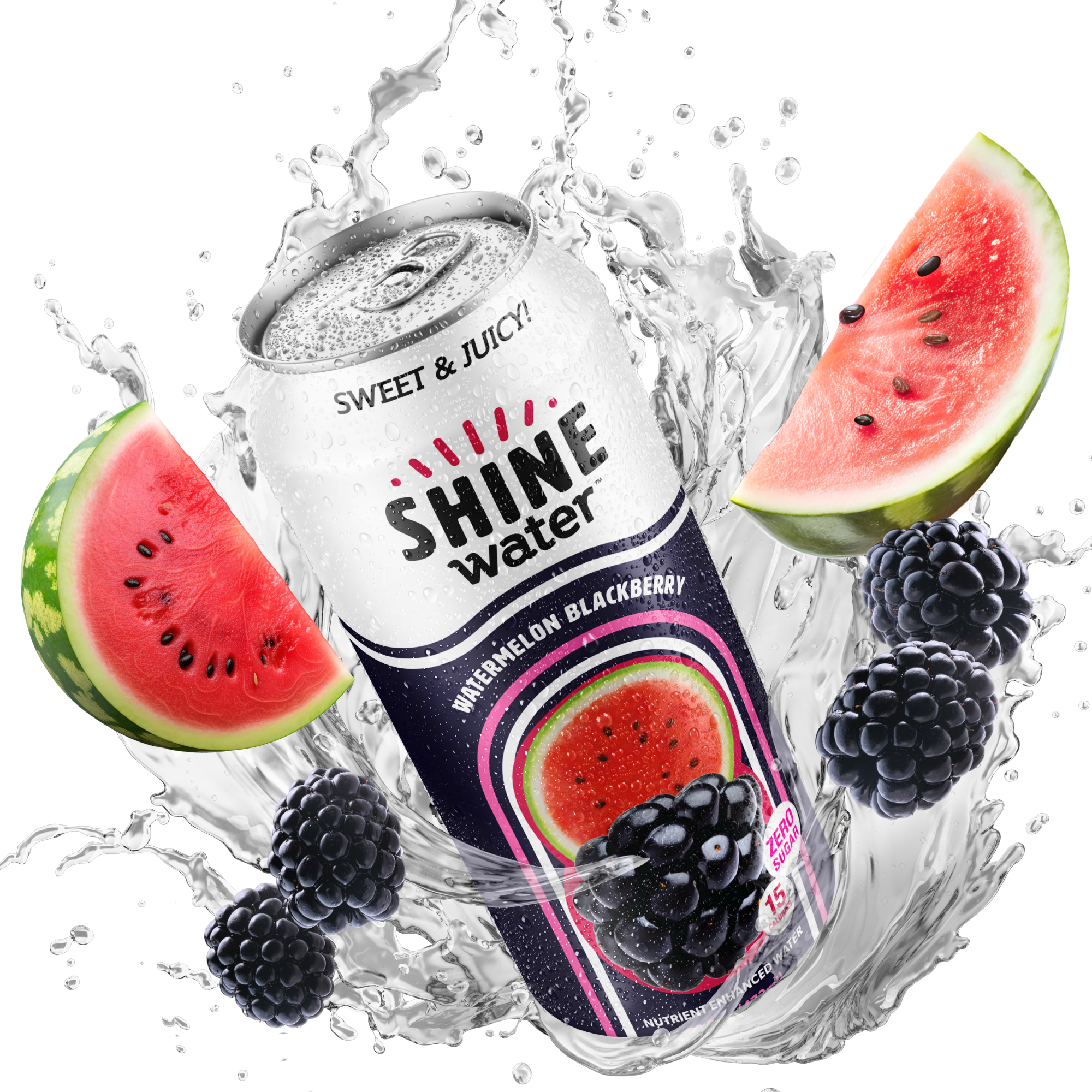 Watermelon Blackberry Flavored Vitamin Enhanced Water - 12 Pack