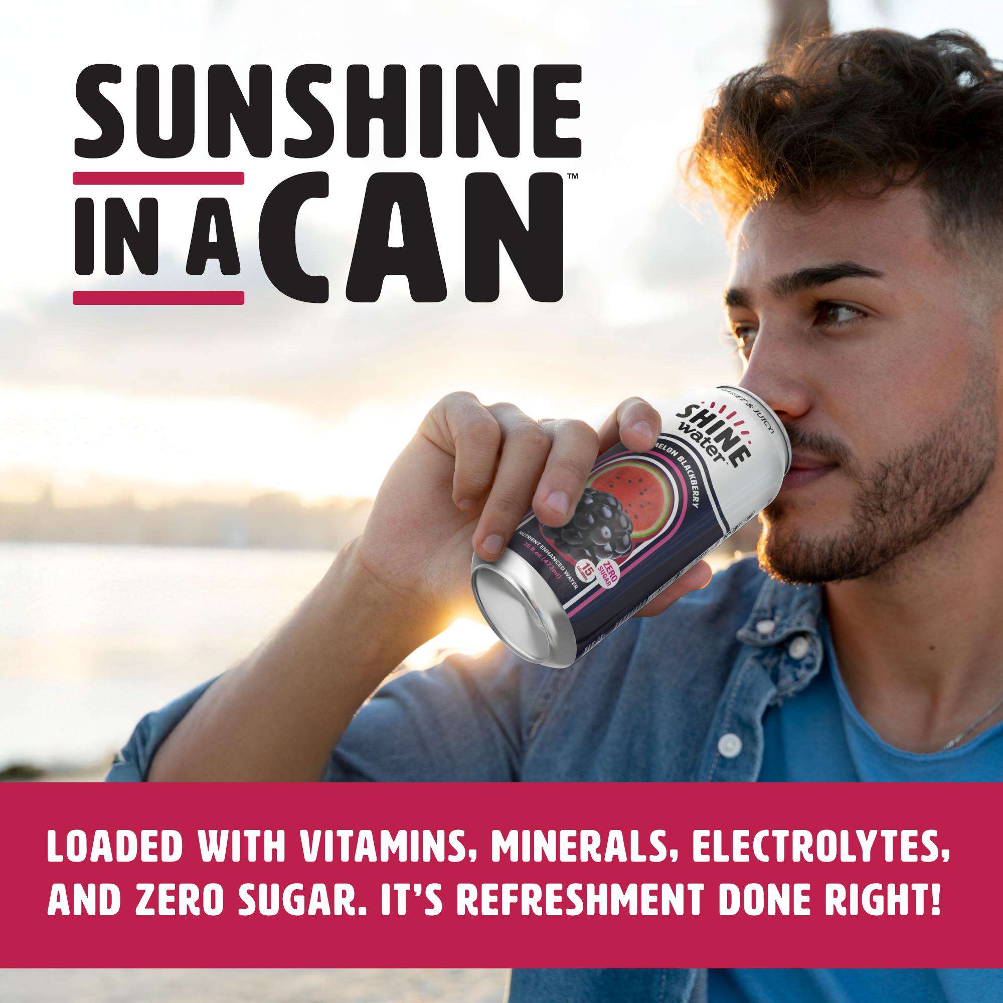 Watermelon Blackberry Flavored Vitamin Enhanced Water - 12 Pack